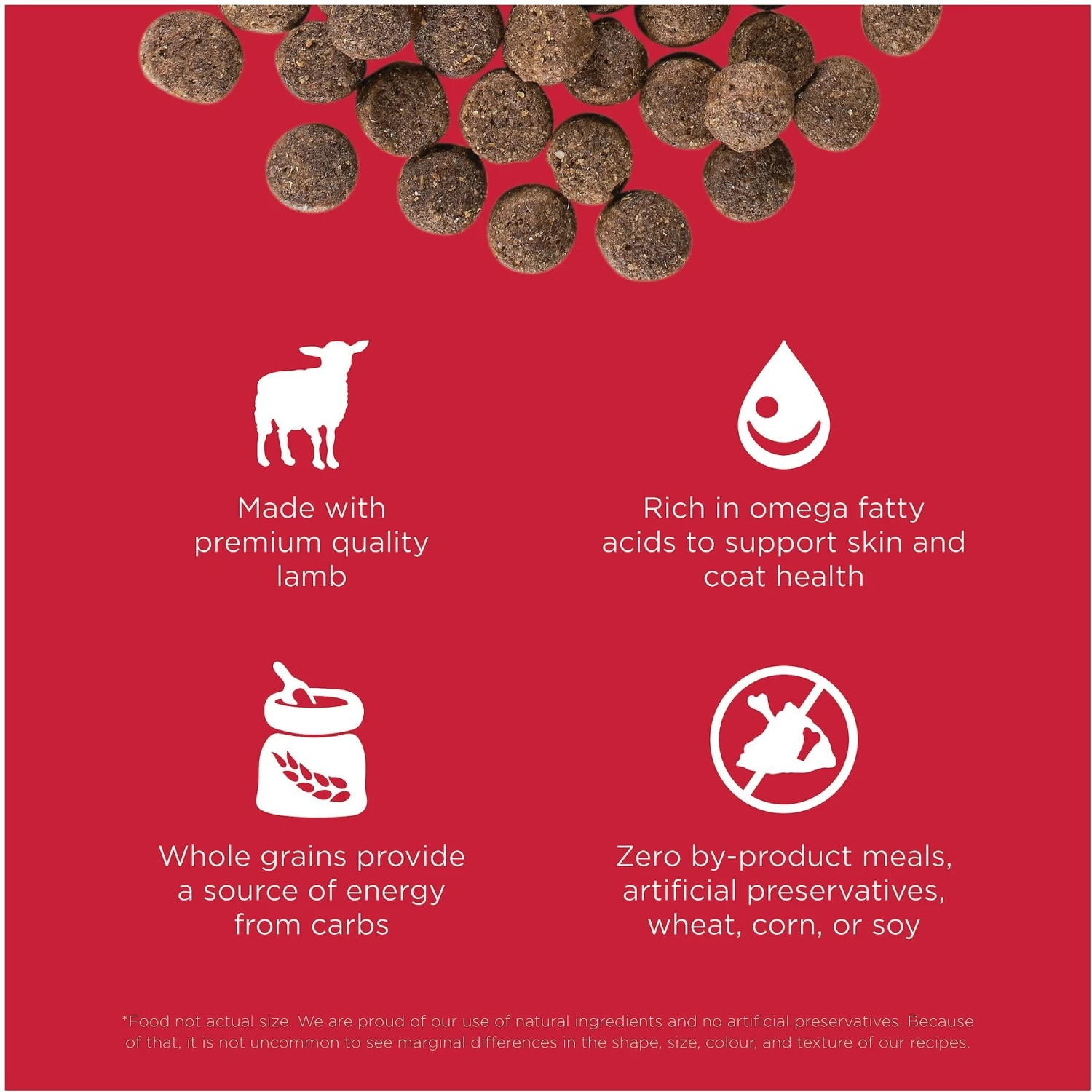 Go! Solutions Skin + Coat Care Lamb Recipe Dry Dog Food 5 Go! Solutions Skin + Coat Care Lamb Recipe Dry Dog Food - Image 3