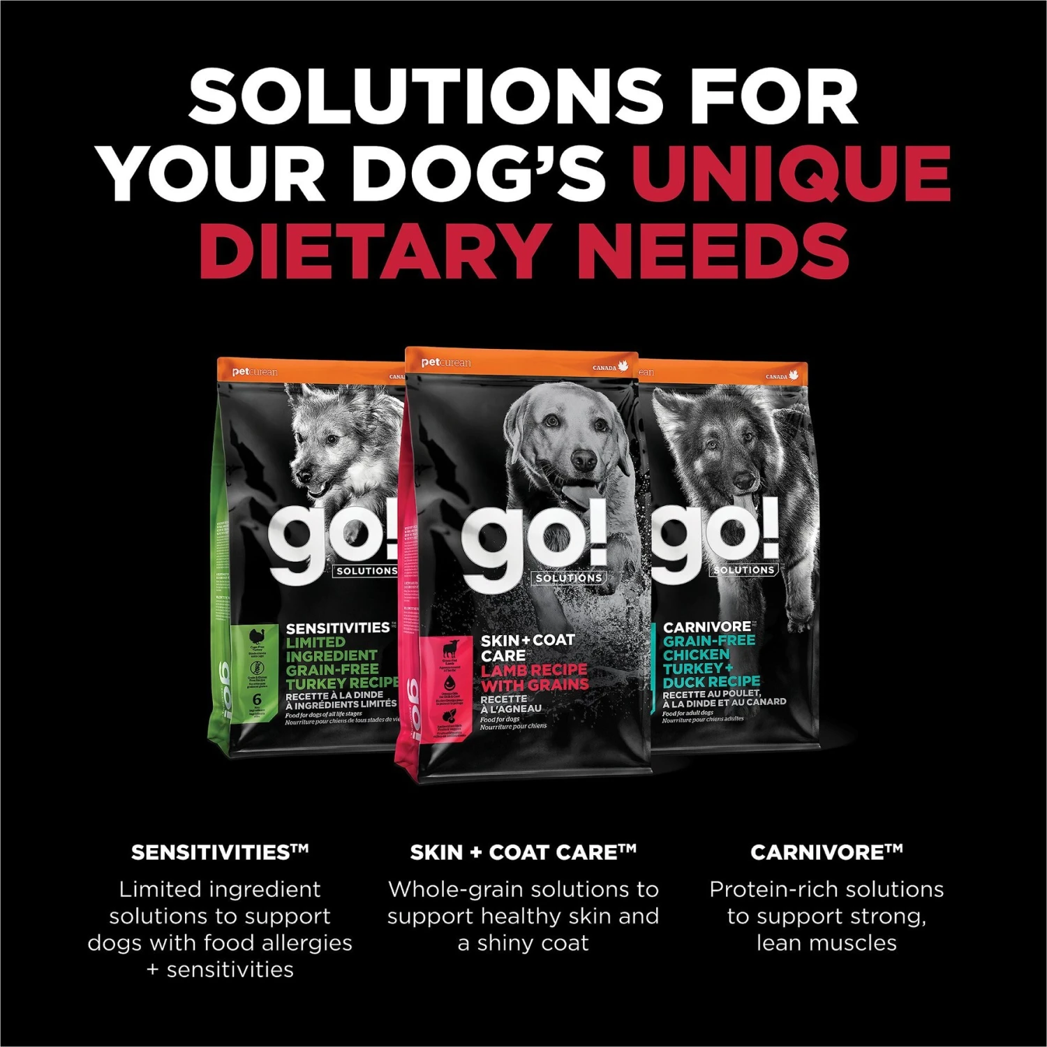 Go! Solutions Skin + Coat Care Lamb Recipe Dry Dog Food 8 Go! Solutions Skin + Coat Care Lamb Recipe Dry Dog Food - Image 6