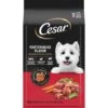 Cesar Porterhouse Flavor & Spring Vegetables Garnish Small Breed Adult Dry Dog Food -Blue Buffalo || ROYAL CANIN || Wellness Sales 157059 MAIN. AC SS1800 V1695650022