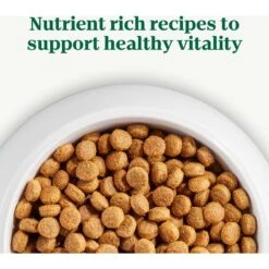 Nutro Natural Choice Adult Beef & Brown Rice Recipe Dry Dog Food -Blue Buffalo || ROYAL CANIN || Wellness Sales 157094 PT8. AC SS1800 V1691418325