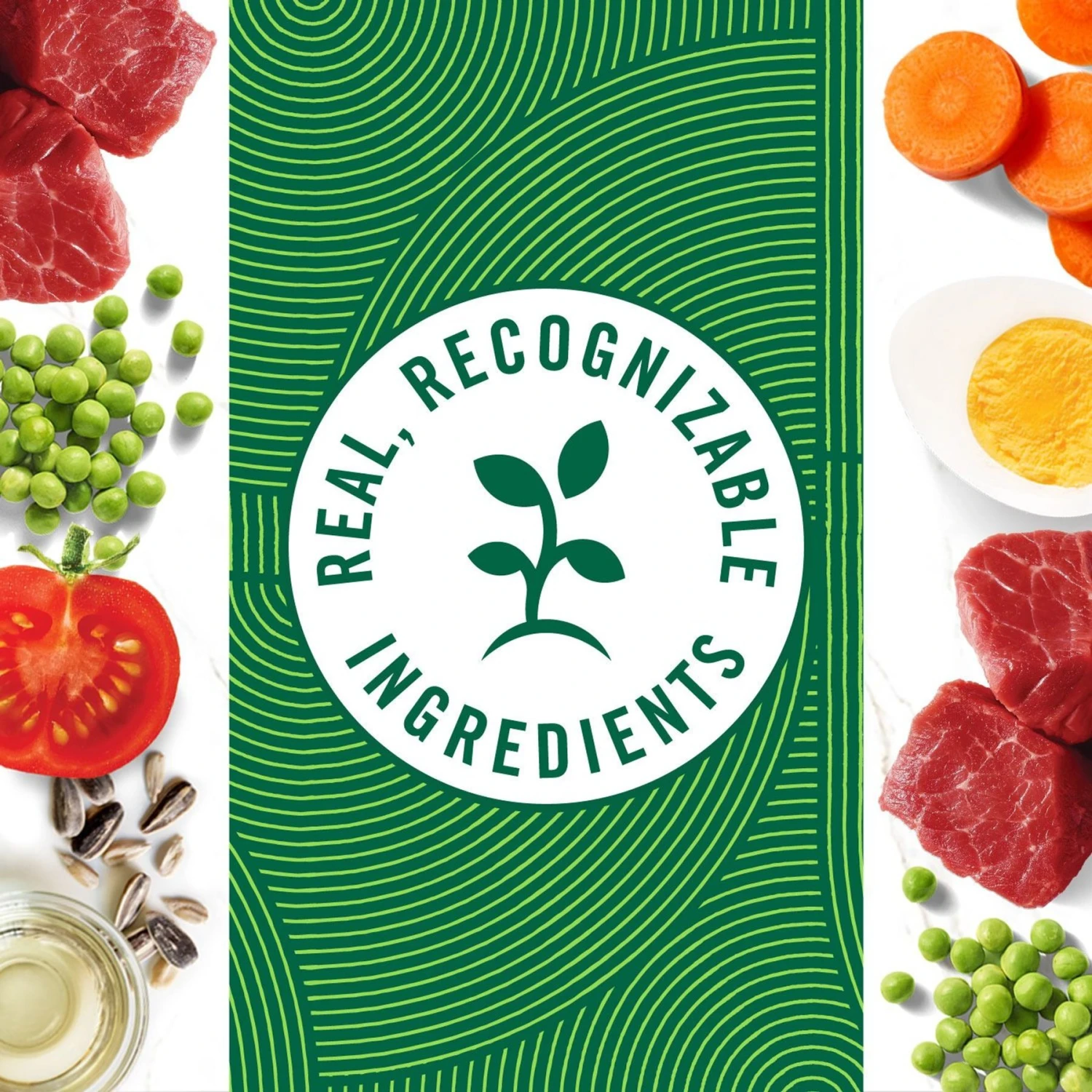 Nutro Hearty Stew Adult Chunky Beef, Tomato, Carrot & Pea Canned Wet Dog Food 7 Nutro Hearty Stew Adult Chunky Beef, Tomato, Carrot & Pea Canned Wet Dog Food - Image 5