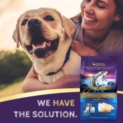 Zignature Small Bites Trout & Salmon Meal Dry Dog Food -Blue Buffalo || ROYAL CANIN || Wellness Sales 157278 PT6. AC SS1800 V1660855492