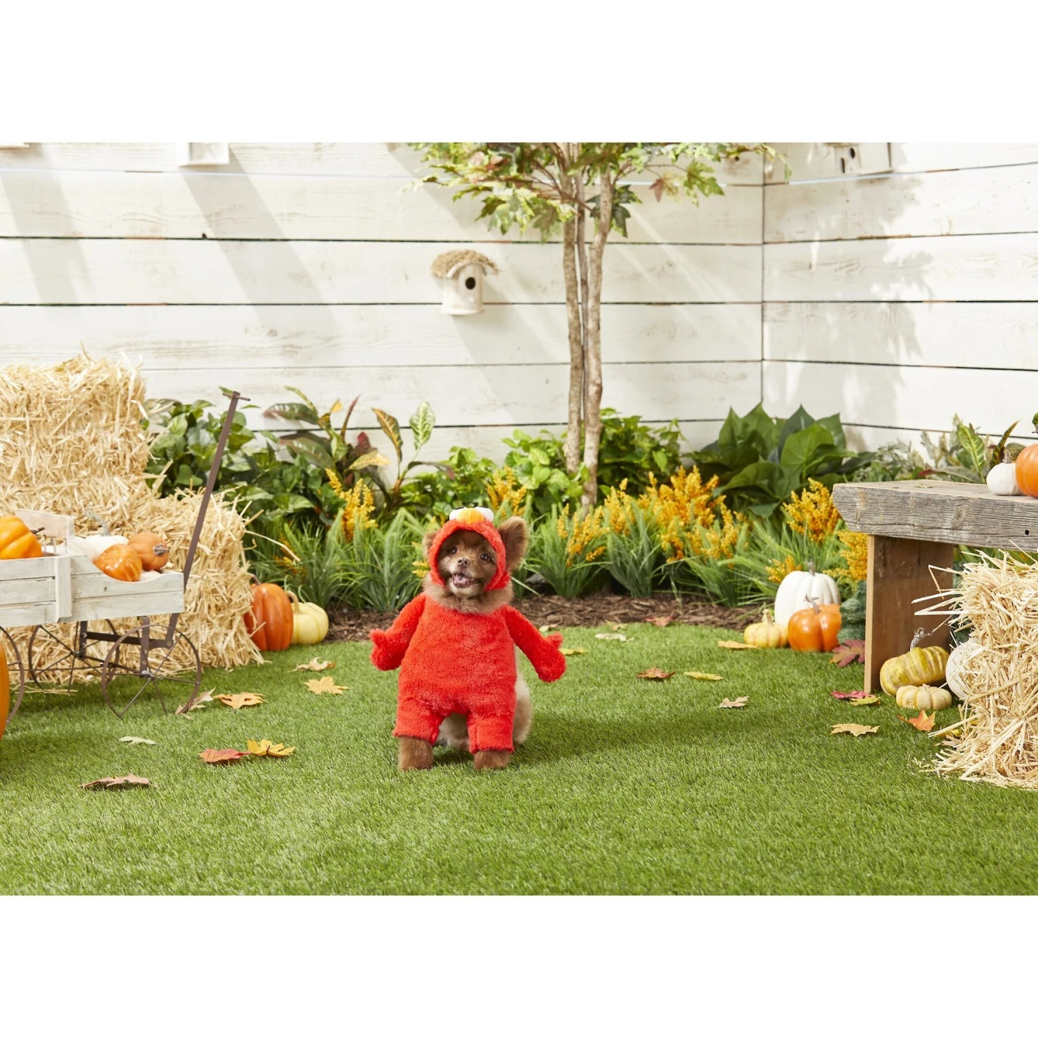 Pet Krewe Sesame Street Elmo Dog & Cat Costume 5 Pet Krewe Sesame Street Elmo Dog & Cat Costume - Image 3