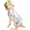 Pet Krewe Sesame Street Oscar The Grouch Dog & Cat Costume -Blue Buffalo || ROYAL CANIN || Wellness Sales 157703 MAIN. AC SS1800 V1564670312
