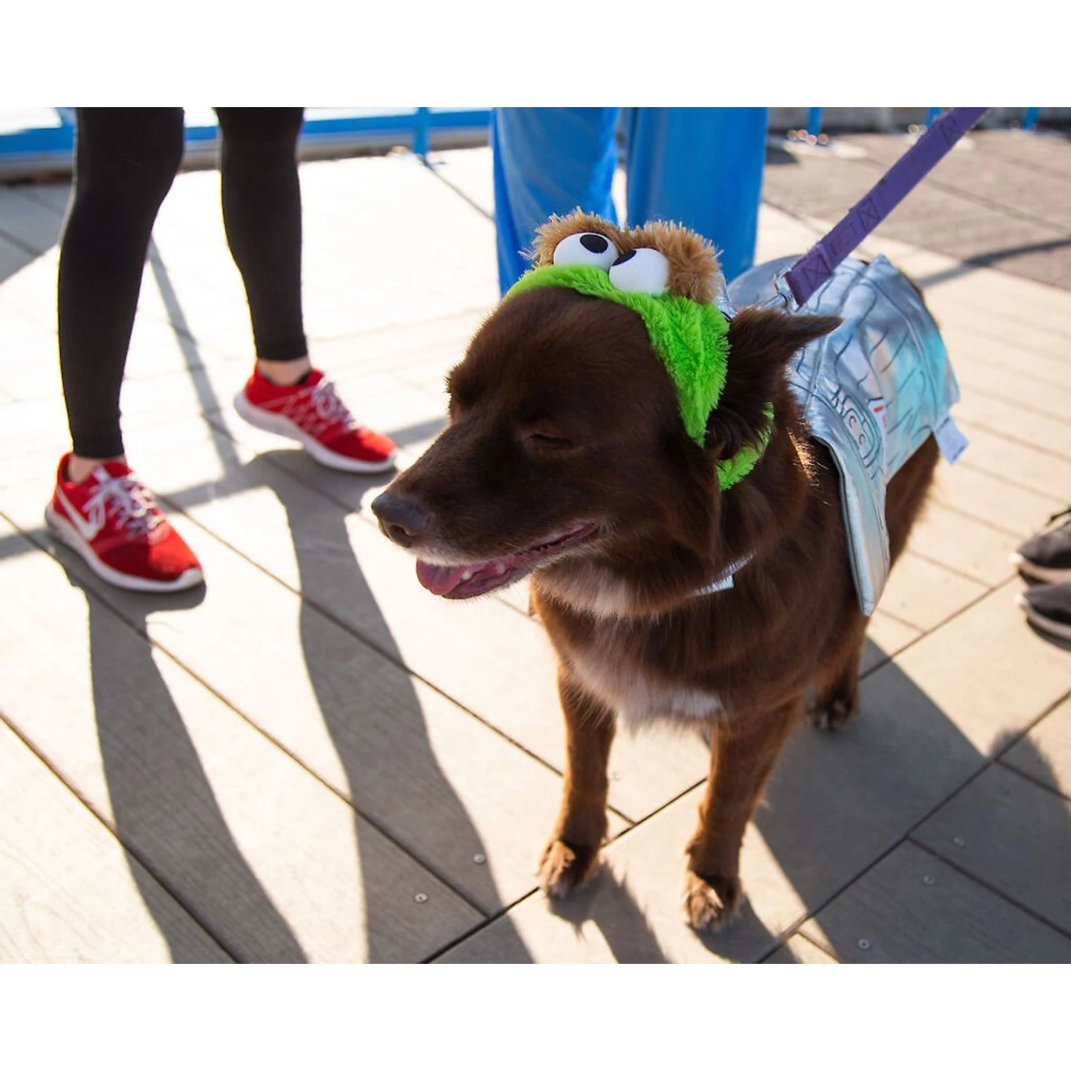 Pet Krewe Sesame Street Oscar The Grouch Dog & Cat Costume 5 Pet Krewe Sesame Street Oscar The Grouch Dog & Cat Costume - Image 3