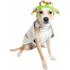 Pet Krewe Sesame Street Oscar The Grouch Dog & Cat Costume 13 Pet Krewe Sesame Street Oscar The Grouch Dog & Cat Costume -Blue Buffalo || ROYAL CANIN || Wellness Sales 157703 PT3. AC SS1800 V1569267482
