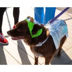 Pet Krewe Sesame Street Oscar The Grouch Dog & Cat Costume 16 Pet Krewe Sesame Street Oscar The Grouch Dog & Cat Costume -Blue Buffalo || ROYAL CANIN || Wellness Sales 157703 PT6. AC SS1800 V1599277268