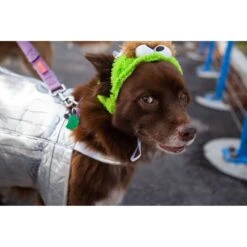 Pet Krewe Sesame Street Oscar The Grouch Dog & Cat Costume 17 Pet Krewe Sesame Street Oscar The Grouch Dog & Cat Costume -Blue Buffalo || ROYAL CANIN || Wellness Sales 157703 PT7. AC SS1800 V1599269475