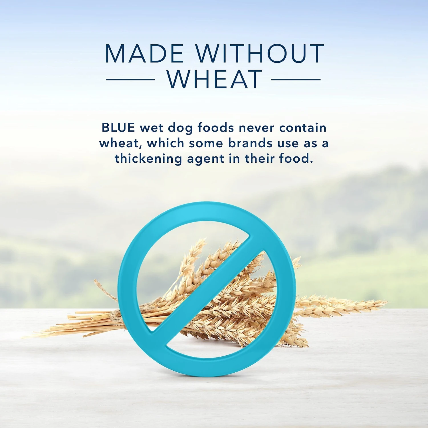 Blue Buffalo Divine Delights Roasted Turkey & Grilled Chicken Variety Dog Food Trays 6 Blue Buffalo Divine Delights Roasted Turkey & Grilled Chicken Variety Dog Food Trays - Image 4