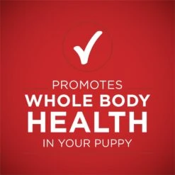 Purina ONE +Plus Classic Ground Healthy Puppy Lamb & Long Grain Rice Entree Canned Dog Food -Blue Buffalo || ROYAL CANIN || Wellness Sales 158418 PT6. AC SS1800 V1668810154