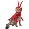 Frisco Red Lobster Dog & Cat Costume -Blue Buffalo || ROYAL CANIN || Wellness Sales 158723 MAIN. AC SS1800 V1659023206