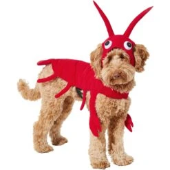 Frisco Red Lobster Dog & Cat Costume -Blue Buffalo || ROYAL CANIN || Wellness Sales 158723 PT2. AC SS1800 V1659023725