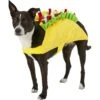 Frisco Taco Dog & Cat Costume -Blue Buffalo || ROYAL CANIN || Wellness Sales 158826 MAIN. AC SS1800 V1564425147