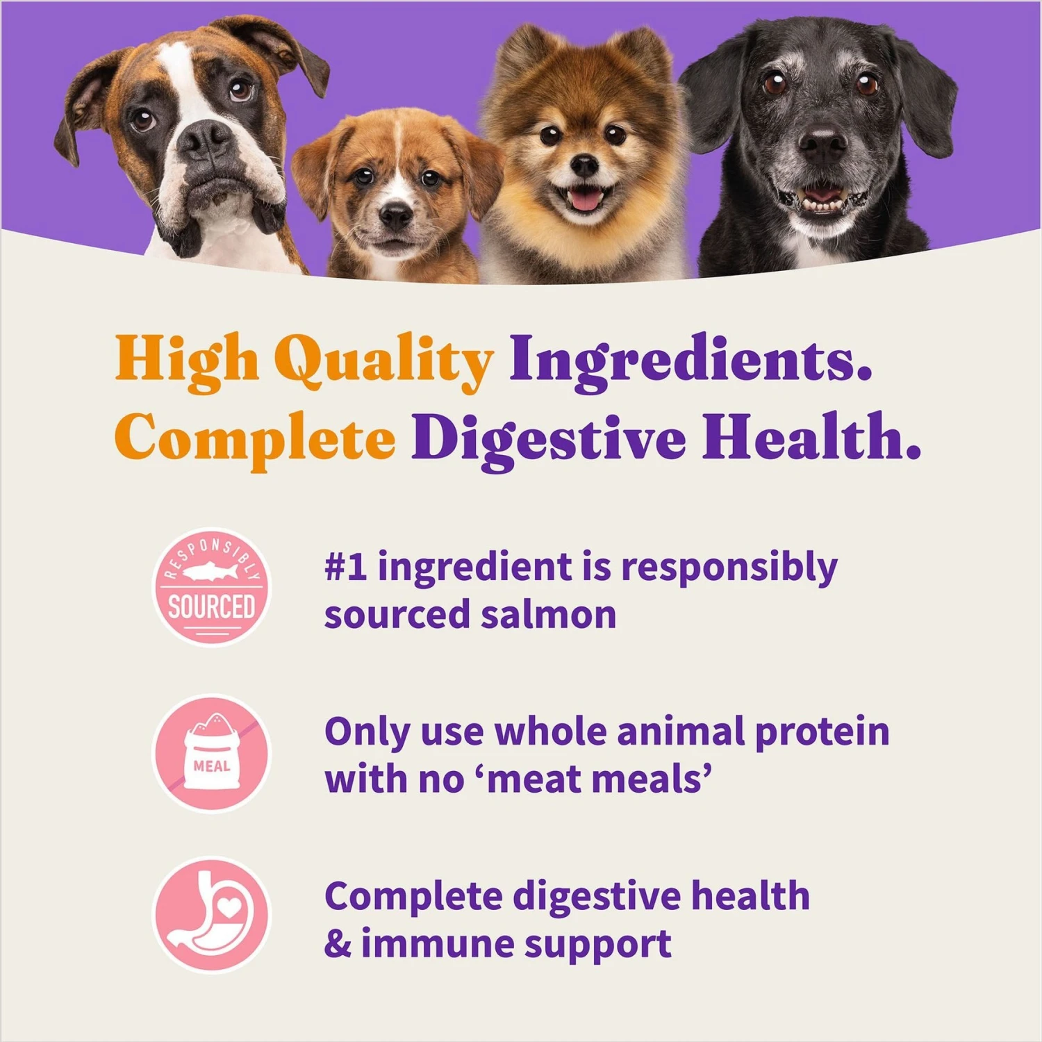 Halo Holistic Complete Digestive Health Wild-Caught Salmon & Whitefish Adult Dry Dog Food 7 Halo Holistic Complete Digestive Health Wild-Caught Salmon & Whitefish Adult Dry Dog Food - Image 5