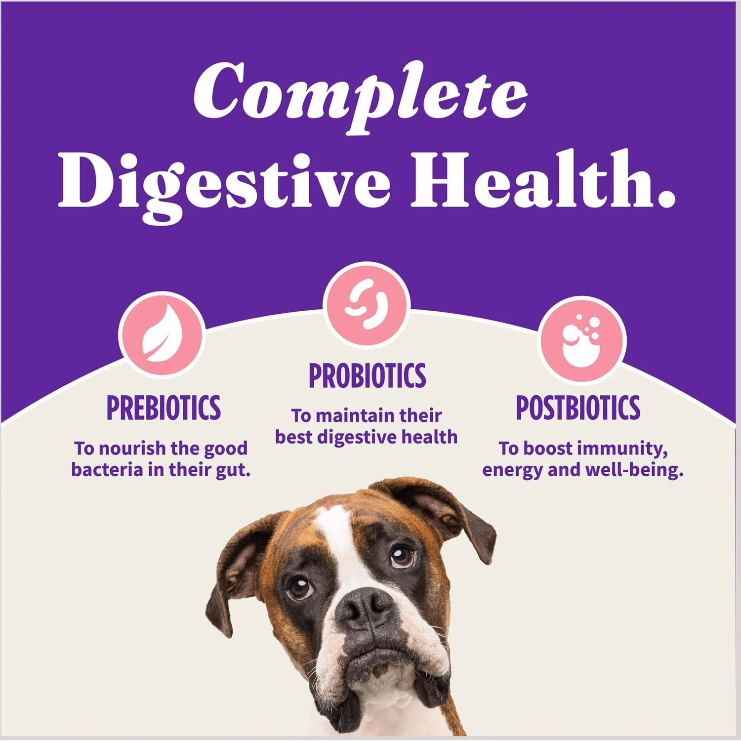 Halo Holistic Complete Digestive Health Wild-Caught Salmon & Whitefish Adult Dry Dog Food 9 Halo Holistic Complete Digestive Health Wild-Caught Salmon & Whitefish Adult Dry Dog Food - Image 7