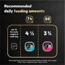 Cesar Breakfast Classic Loaf In Sauce Variety Pack Small Breed Adult Wet Dog Food Trays -Blue Buffalo || ROYAL CANIN || Wellness Sales 159227 PT6. AC SS1800 V1695666301