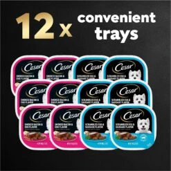 Cesar Breakfast Classic Loaf In Sauce Variety Pack Small Breed Adult Wet Dog Food Trays -Blue Buffalo || ROYAL CANIN || Wellness Sales 159227 PT8. AC SS1800 V1695750310