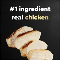 Cesar Rotisserie Chicken Flavor Filets In Gravy Small Breed Adult Wet Dog Food Trays -Blue Buffalo || ROYAL CANIN || Wellness Sales 159233 PT3. AC SS1800 V1695656613