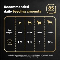 Cesar Rotisserie Chicken Flavor Filets In Gravy Small Breed Adult Wet Dog Food Trays -Blue Buffalo || ROYAL CANIN || Wellness Sales 159233 PT6. AC SS1800 V1695656612