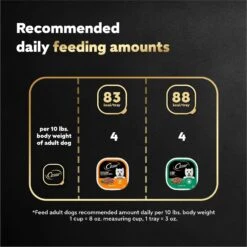 Cesar Poultry Lovers Turkey & Chicken Filets In Gravy Variety Pack Small Breed Adult Wet Dog Food Trays 17 Cesar Poultry Lovers Turkey & Chicken Filets In Gravy Variety Pack Small Breed Adult Wet Dog Food Trays -Blue Buffalo || ROYAL CANIN || Wellness Sales 159235 PT6. AC SS1800 V1695656562
