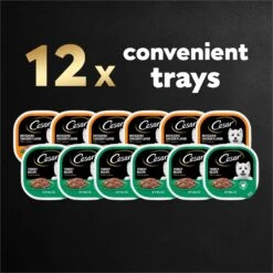 Cesar Poultry Lovers Turkey & Chicken Filets In Gravy Variety Pack Small Breed Adult Wet Dog Food Trays 18 Cesar Poultry Lovers Turkey & Chicken Filets In Gravy Variety Pack Small Breed Adult Wet Dog Food Trays -Blue Buffalo || ROYAL CANIN || Wellness Sales 159235 PT7. AC SS1800 V1695656561
