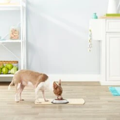 Frisco Non-Skid Stainless Steel Bowl -Blue Buffalo || ROYAL CANIN || Wellness Sales 159860 PT3. AC SS1800 V1570543131