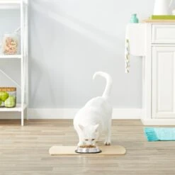 Frisco Non-Skid Stainless Steel Bowl -Blue Buffalo || ROYAL CANIN || Wellness Sales 159860 PT4. AC SS1800 V1570543031