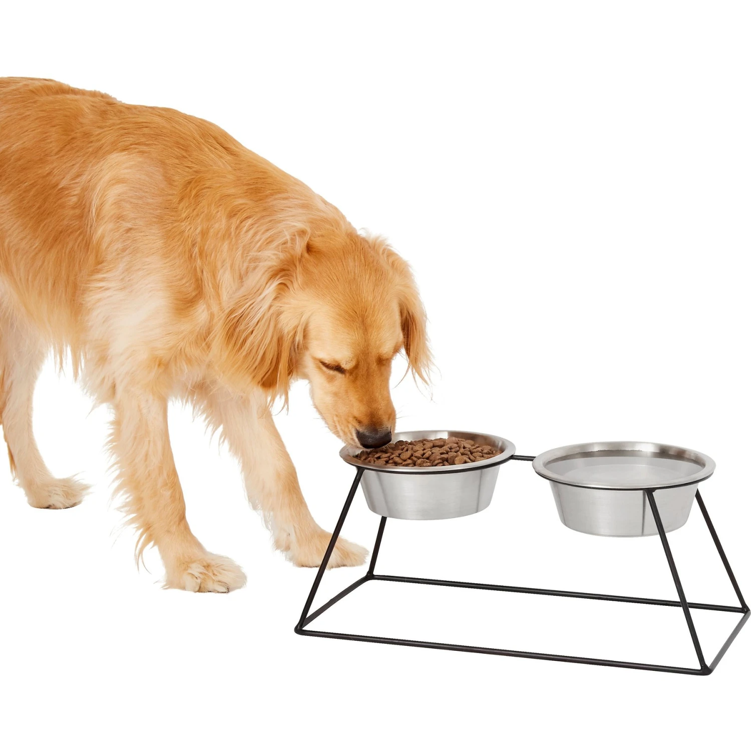 Frisco Pyramid Elevated Stainless Steel Double Diner Dog & Cat Bowl 3 Frisco Pyramid Elevated Stainless Steel Double Diner Dog & Cat Bowl