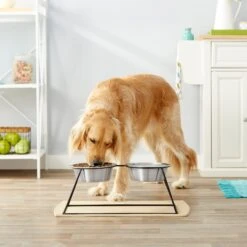 Frisco Pyramid Elevated Stainless Steel Double Diner Dog & Cat Bowl 9 Frisco Pyramid Elevated Stainless Steel Double Diner Dog & Cat Bowl -Blue Buffalo || ROYAL CANIN || Wellness Sales 159884 PT3. AC SS1800 V1561123346