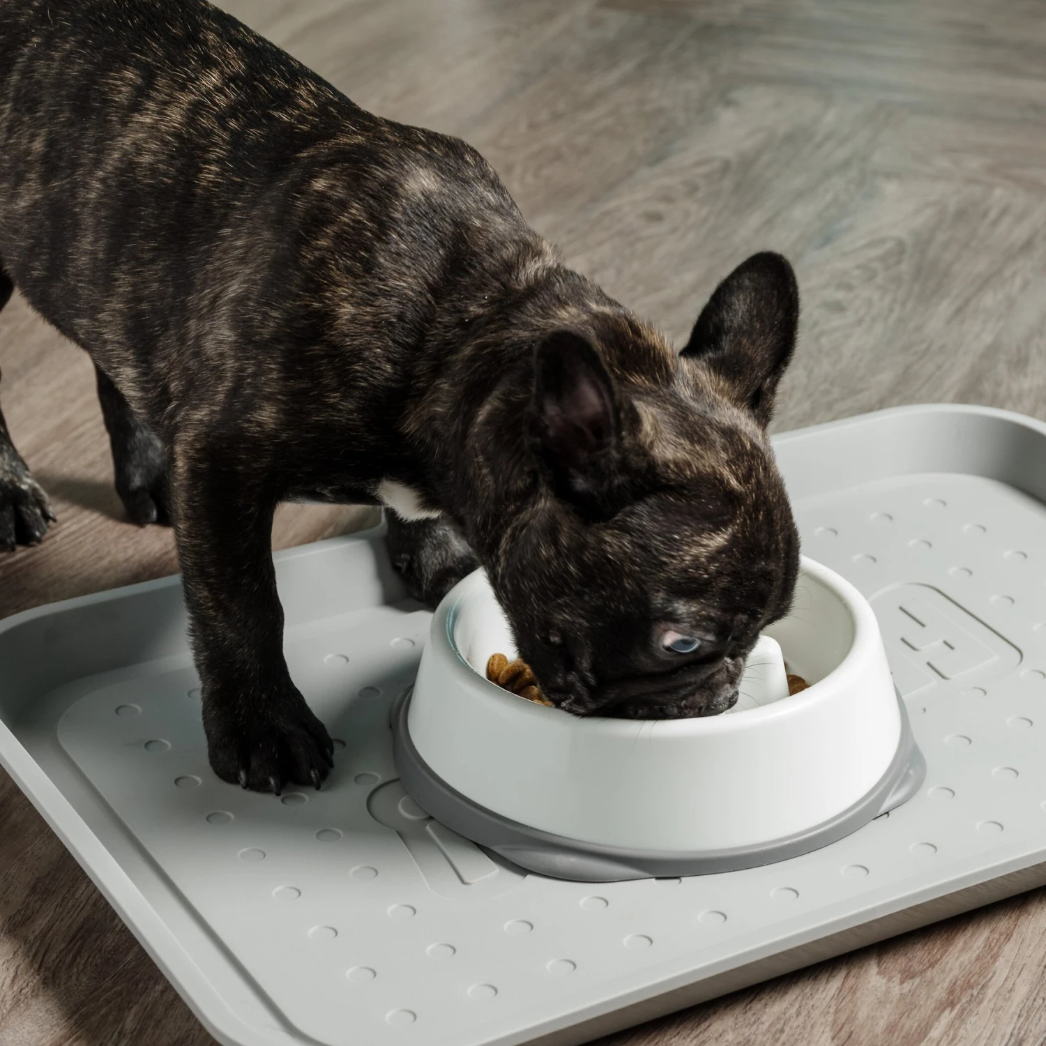 IRIS USA Non-Slip Rubber Slow Feeder With Raised Bumps Dog & Cat Bowl 5 IRIS USA Non-Slip Rubber Slow Feeder With Raised Bumps Dog & Cat Bowl - Image 3