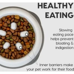 IRIS USA Non-Slip Rubber Slow Feeder With Raised Bumps Dog & Cat Bowl 12 IRIS USA Non-Slip Rubber Slow Feeder With Raised Bumps Dog & Cat Bowl -Blue Buffalo || ROYAL CANIN || Wellness Sales 159938 PT3. AC SS1800 V1550598712