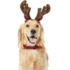Frisco Holiday Antler Headband & Bell Collar Dog & Cat Costume