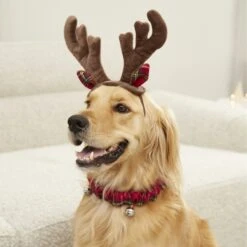 Frisco Holiday Antler Headband & Bell Collar Dog & Cat Costume 10 Frisco Holiday Antler Headband & Bell Collar Dog & Cat Costume -Blue Buffalo || ROYAL CANIN || Wellness Sales 160658 PT4. AC SS1800 V1568818037