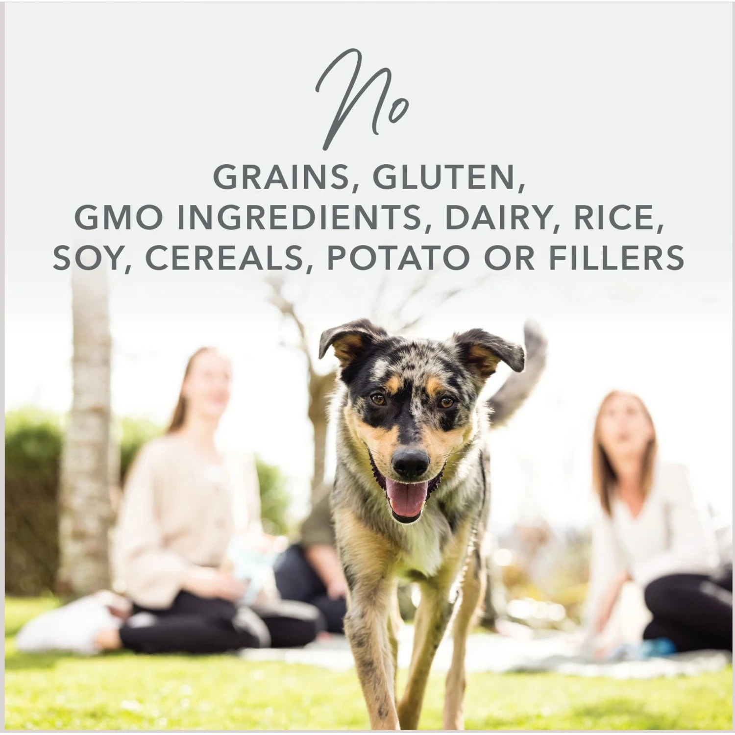 K9 Natural Hoki & Beef Grain-Free Freeze-Dried Dog Food Topper 5 K9 Natural Hoki & Beef Grain-Free Freeze-Dried Dog Food Topper - Image 3