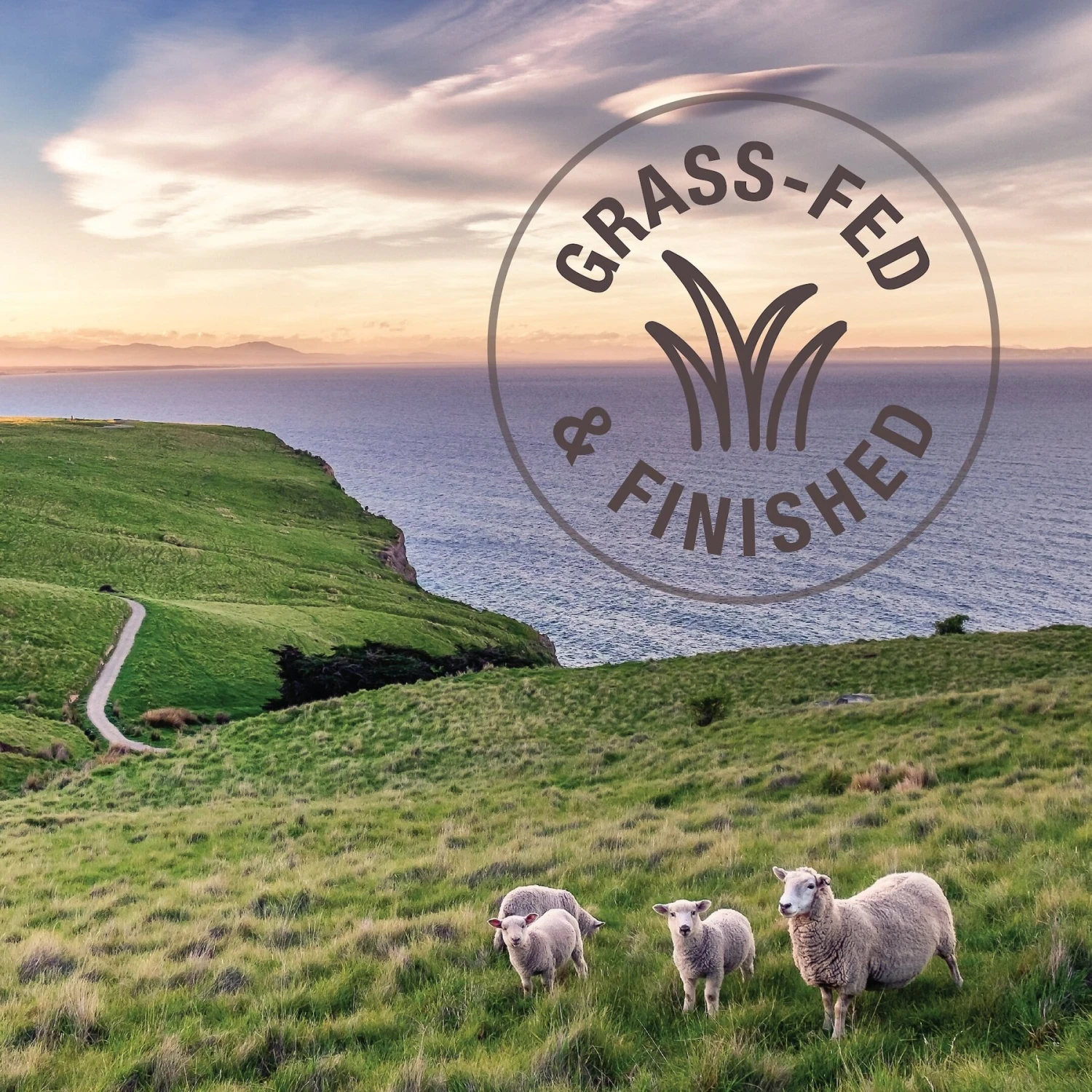 K9 Natural Lamb & King Salmon Grain-Free Freeze-Dried Dog Food Topper 8 K9 Natural Lamb & King Salmon Grain-Free Freeze-Dried Dog Food Topper - Image 6