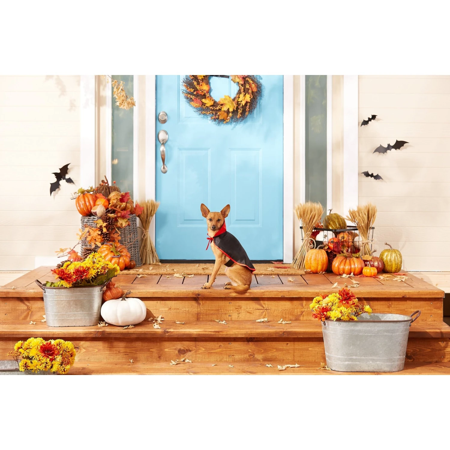 Frisco Vampire Cape Dog & Cat Costume 5 Frisco Vampire Cape Dog & Cat Costume - Image 3