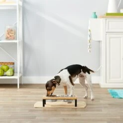 Frisco Wood Elevated Stainless Steel Double Diner Dog & Cat Bowl -Blue Buffalo || ROYAL CANIN || Wellness Sales 161144 PT3. AC SS1800 V1561641426