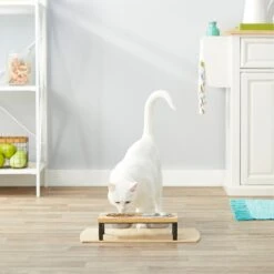 Frisco Wood Elevated Stainless Steel Double Diner Dog & Cat Bowl -Blue Buffalo || ROYAL CANIN || Wellness Sales 161144 PT4. AC SS1800 V1561641433