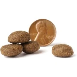 VICTOR Classic Multi-Pro Dry Dog Food -Blue Buffalo || ROYAL CANIN || Wellness Sales 161338 PT3. AC SS1800 V1677684668