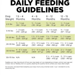 Go! Solutions Carnivore Grain-Free Chicken, Turkey + Duck Puppy Recipe Dry Dog Food -Blue Buffalo || ROYAL CANIN || Wellness Sales 162809 PT7. AC SS1800 V1638491220