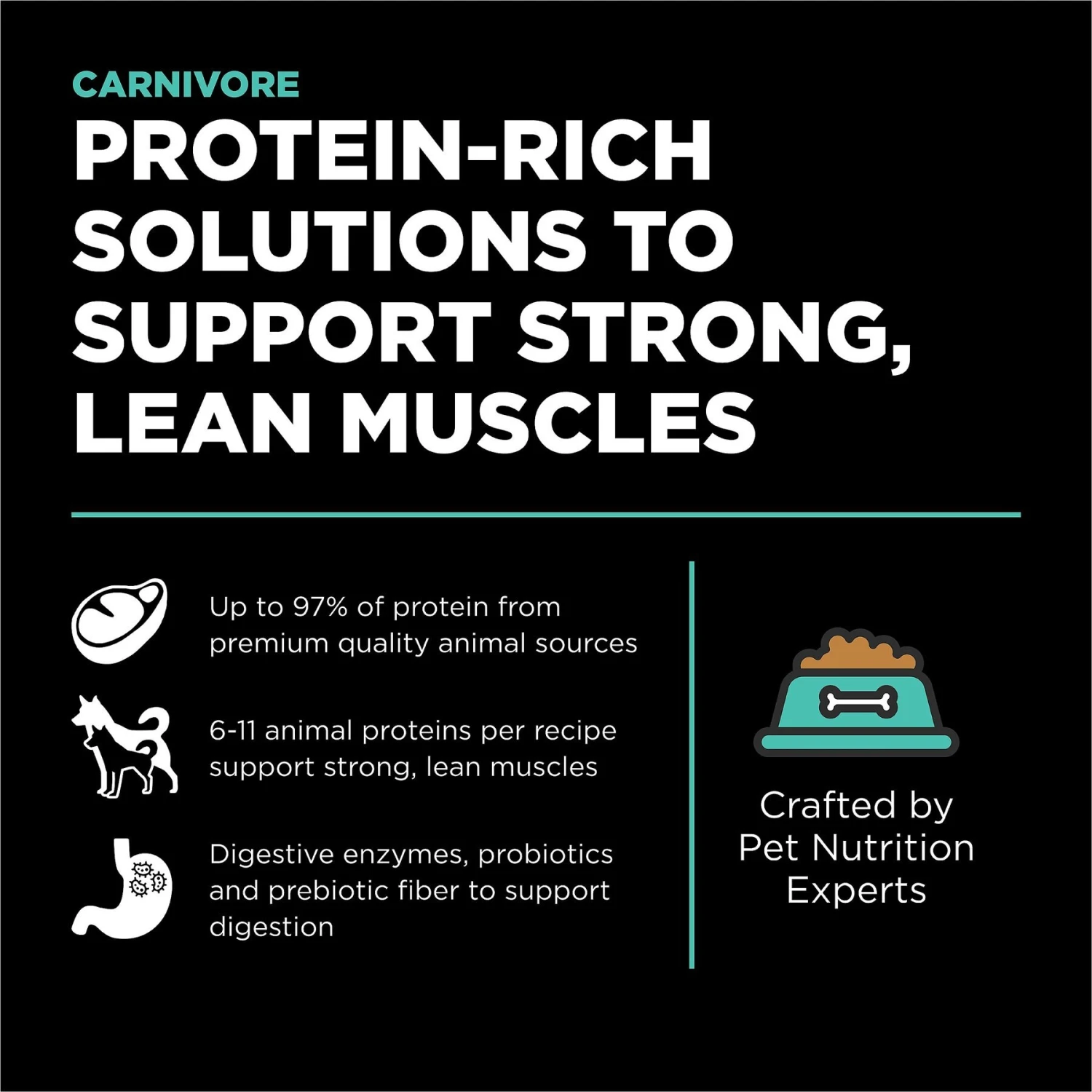 Go! Solutions Carnivore Grain-Free Chicken, Turkey + Duck Adult Recipe Dry Dog Food 4 Go! Solutions Carnivore Grain-Free Chicken, Turkey + Duck Adult Recipe Dry Dog Food - Image 2