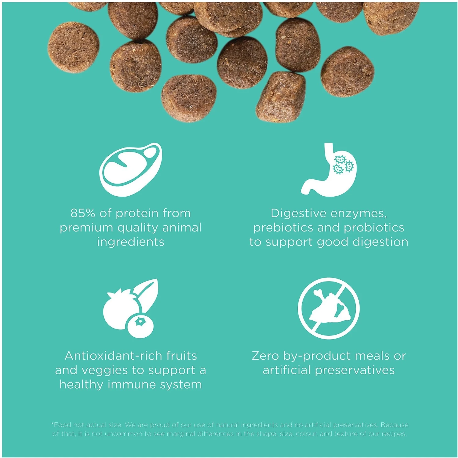 Go! Solutions Carnivore Grain-Free Chicken, Turkey + Duck Adult Recipe Dry Dog Food 5 Go! Solutions Carnivore Grain-Free Chicken, Turkey + Duck Adult Recipe Dry Dog Food - Image 3