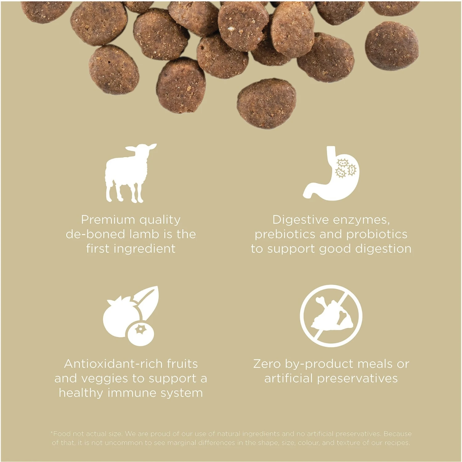 Go! Solutions Carnivore Grain-Free Lamb + Wild Boar Recipe Dry Dog Food 5 Go! Solutions Carnivore Grain-Free Lamb + Wild Boar Recipe Dry Dog Food - Image 3