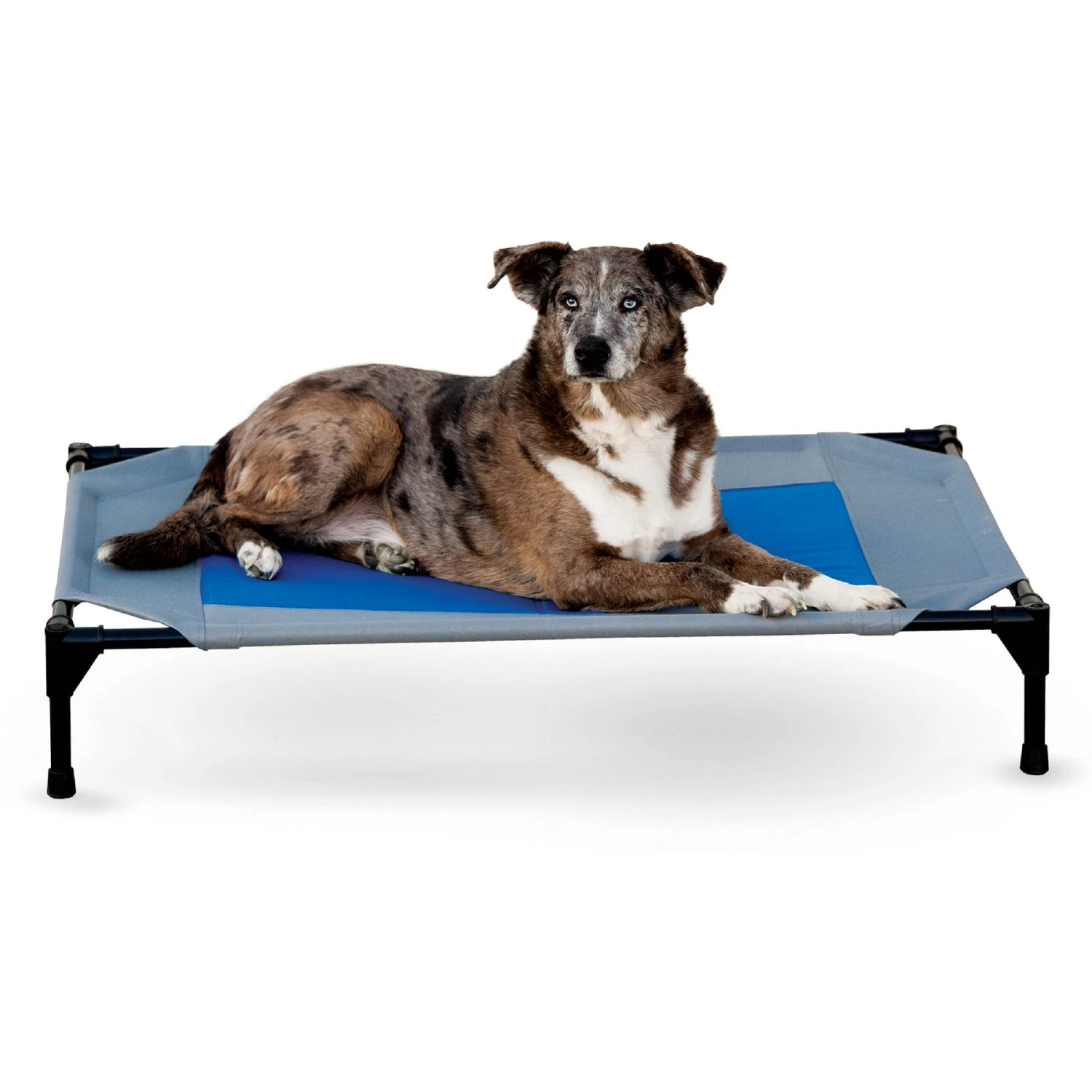 K&H Pet Products Coolin' Pet Cot Elevated Pet Bed 3 K&H Pet Products Coolin' Pet Cot Elevated Pet Bed