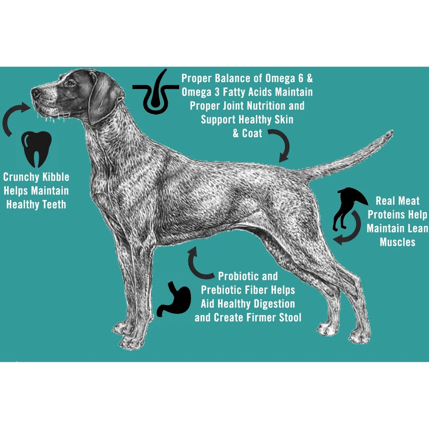 Chicken Soup For The Soul Small Bites Chicken, Turkey & Brown Rice Recipe Dog Food 6 Chicken Soup For The Soul Small Bites Chicken, Turkey & Brown Rice Recipe Dog Food - Image 4