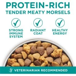 Purina ONE +Plus Adult Digestive Health Formula Dry Dog Food -Blue Buffalo || ROYAL CANIN || Wellness Sales 166138 PT2. AC SS1800 V1683576214