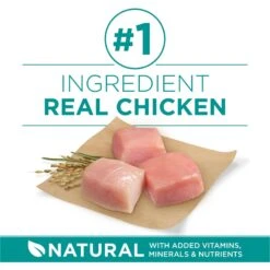 Purina ONE +Plus Adult Digestive Health Formula Dry Dog Food -Blue Buffalo || ROYAL CANIN || Wellness Sales 166138 PT3. AC SS1800 V1683576212