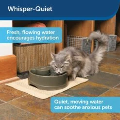 PetSafe Current Circulating Pet Fountain -Blue Buffalo || ROYAL CANIN || Wellness Sales 166258 PT8. AC SS1800 V1598895075
