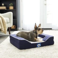 Sealy Lux Premium Orthopedic Bolster Dog Bed With Removable Cover