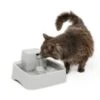 PetSafe Drinkwell Dog & Cat Water Fountain -Blue Buffalo || ROYAL CANIN || Wellness Sales 171835 MAIN. AC SS1800 V1658769088